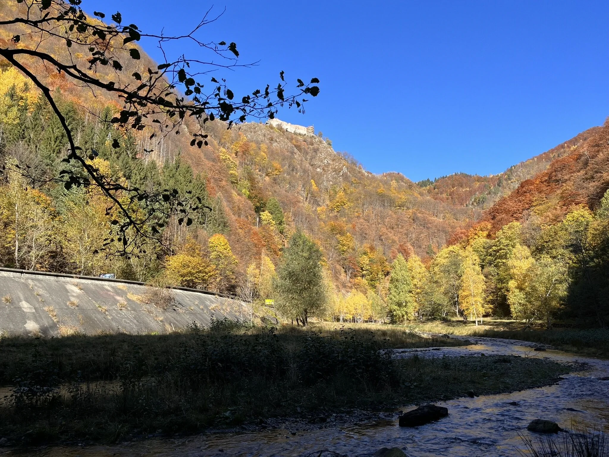 Pensiunea Poiana Mucenicului Arefu - foto 7