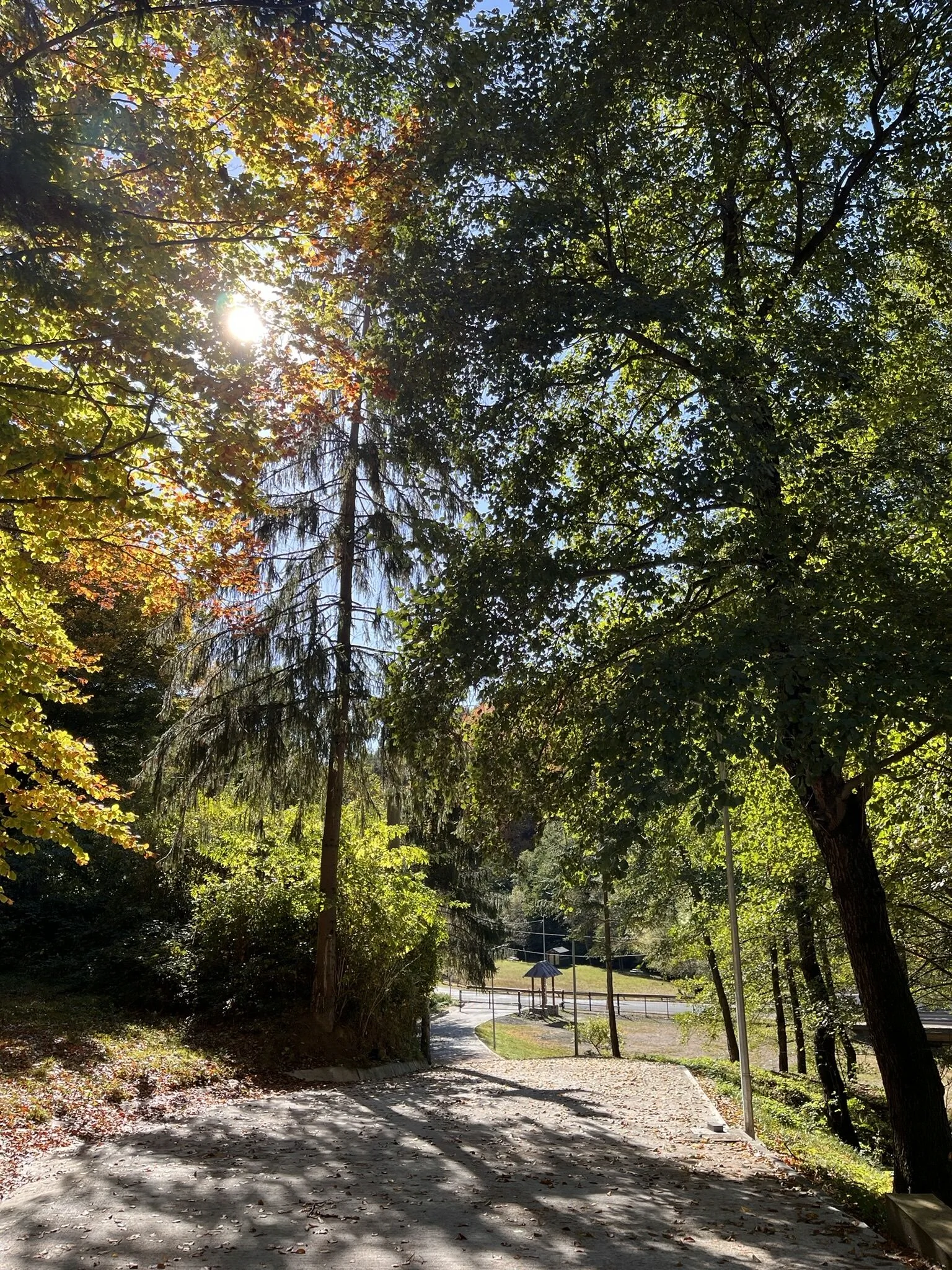Pensiunea Poiana Mucenicului Arefu - foto 8