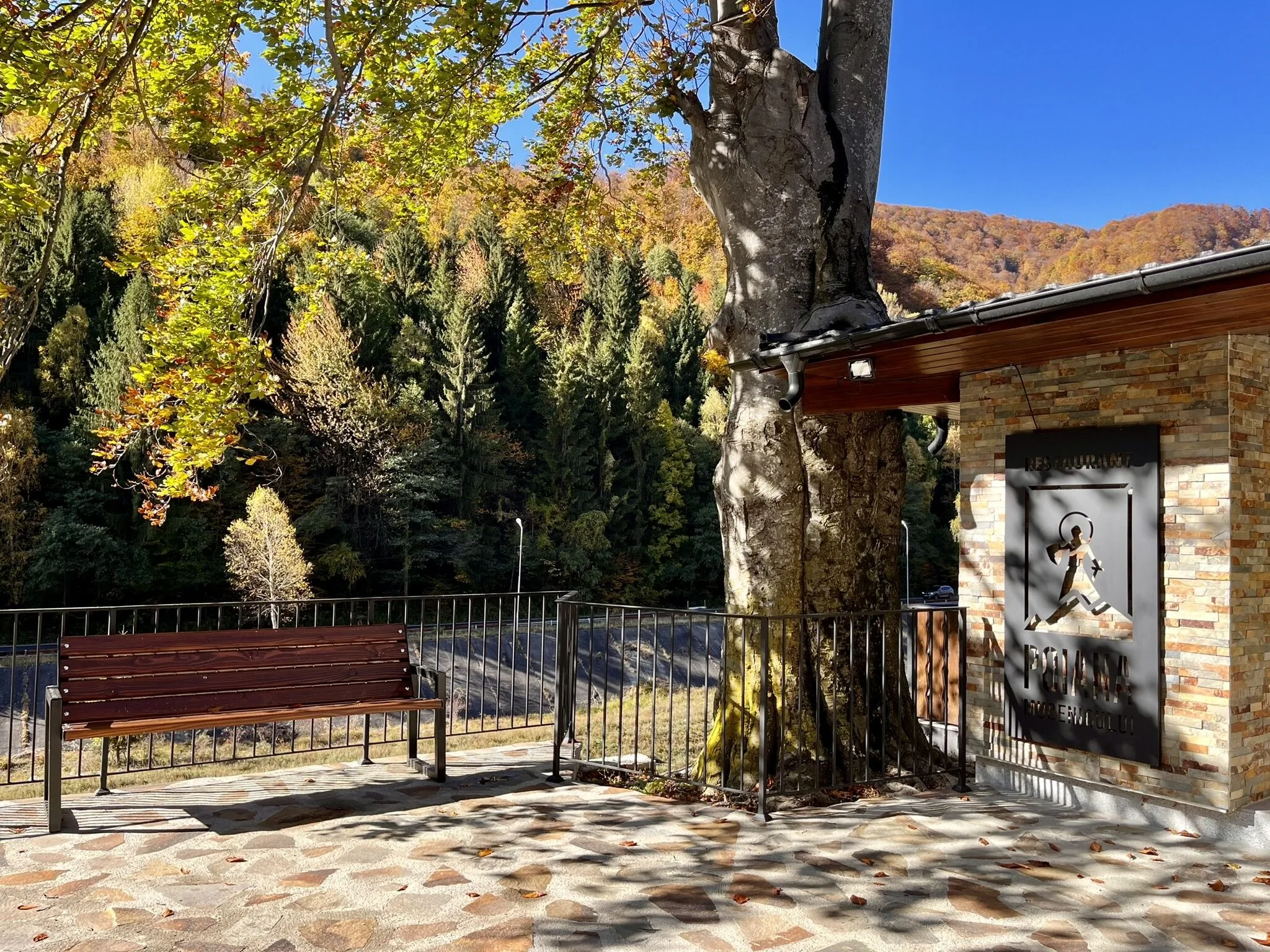 Pensiunea Poiana Mucenicului Arefu - foto 10