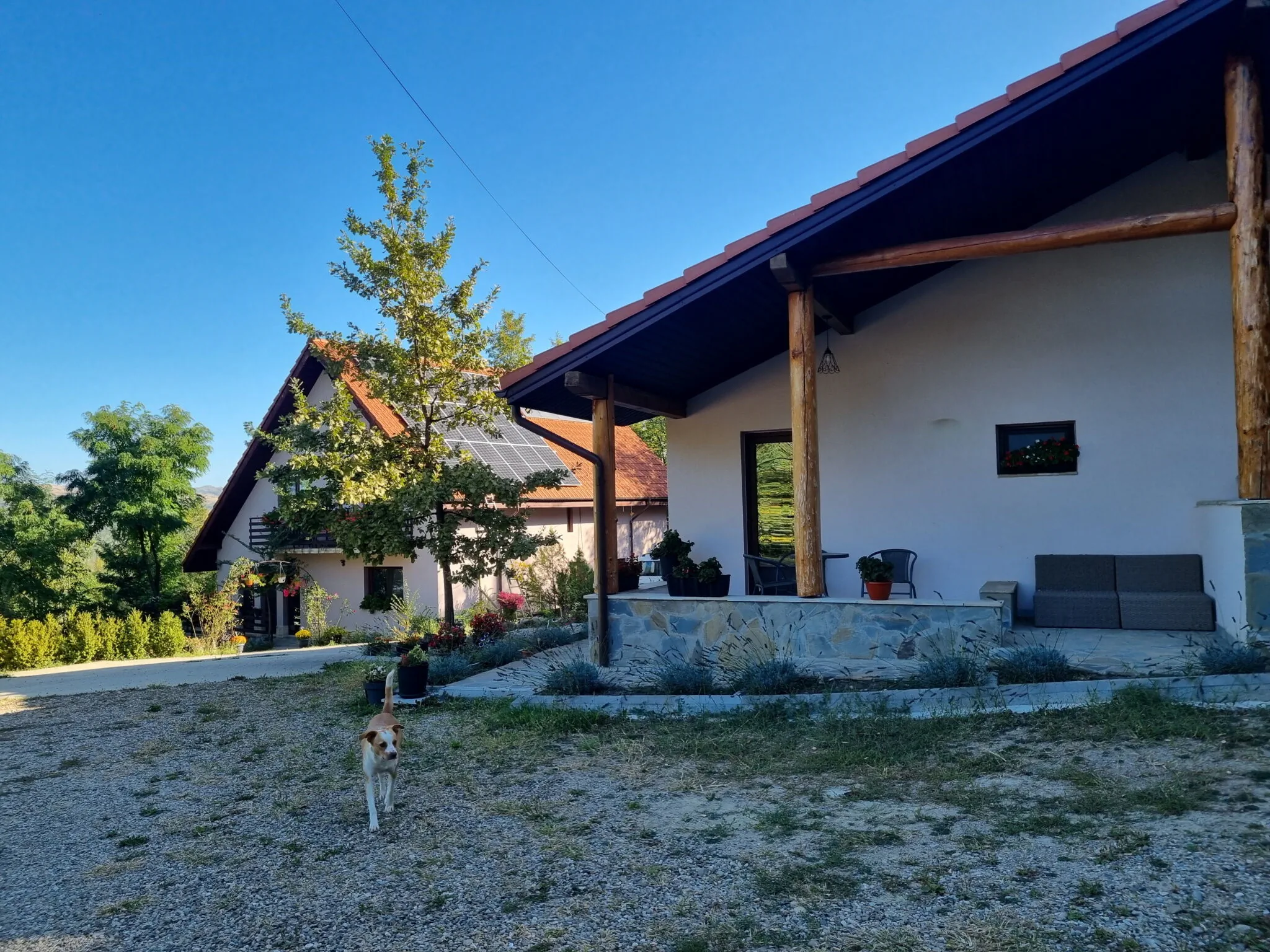 Pensiunea Agroturistică Diana Măgura – Măgura, România
