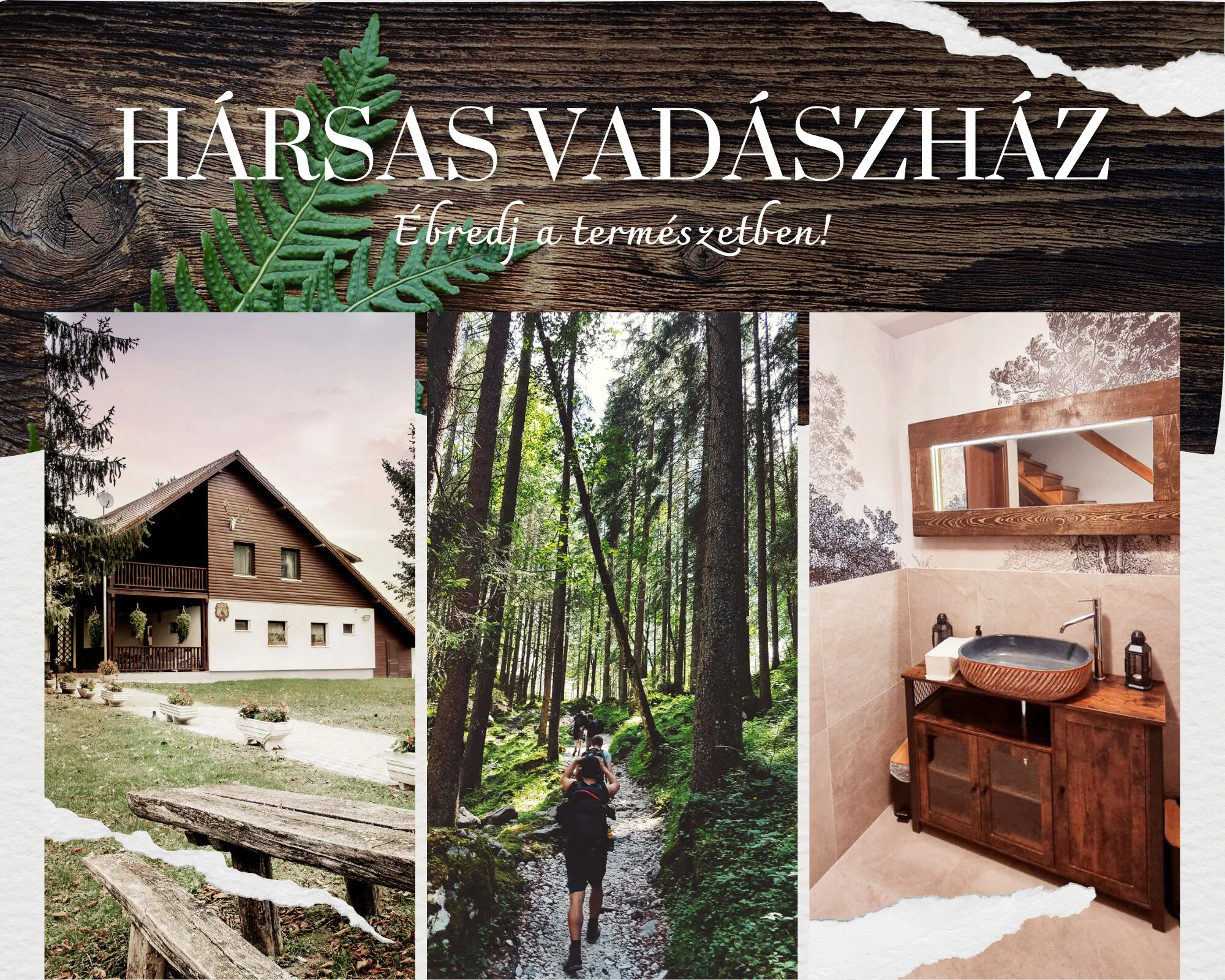 Hársas Vadászház Somogytúr – Somogytúr, Ungaria