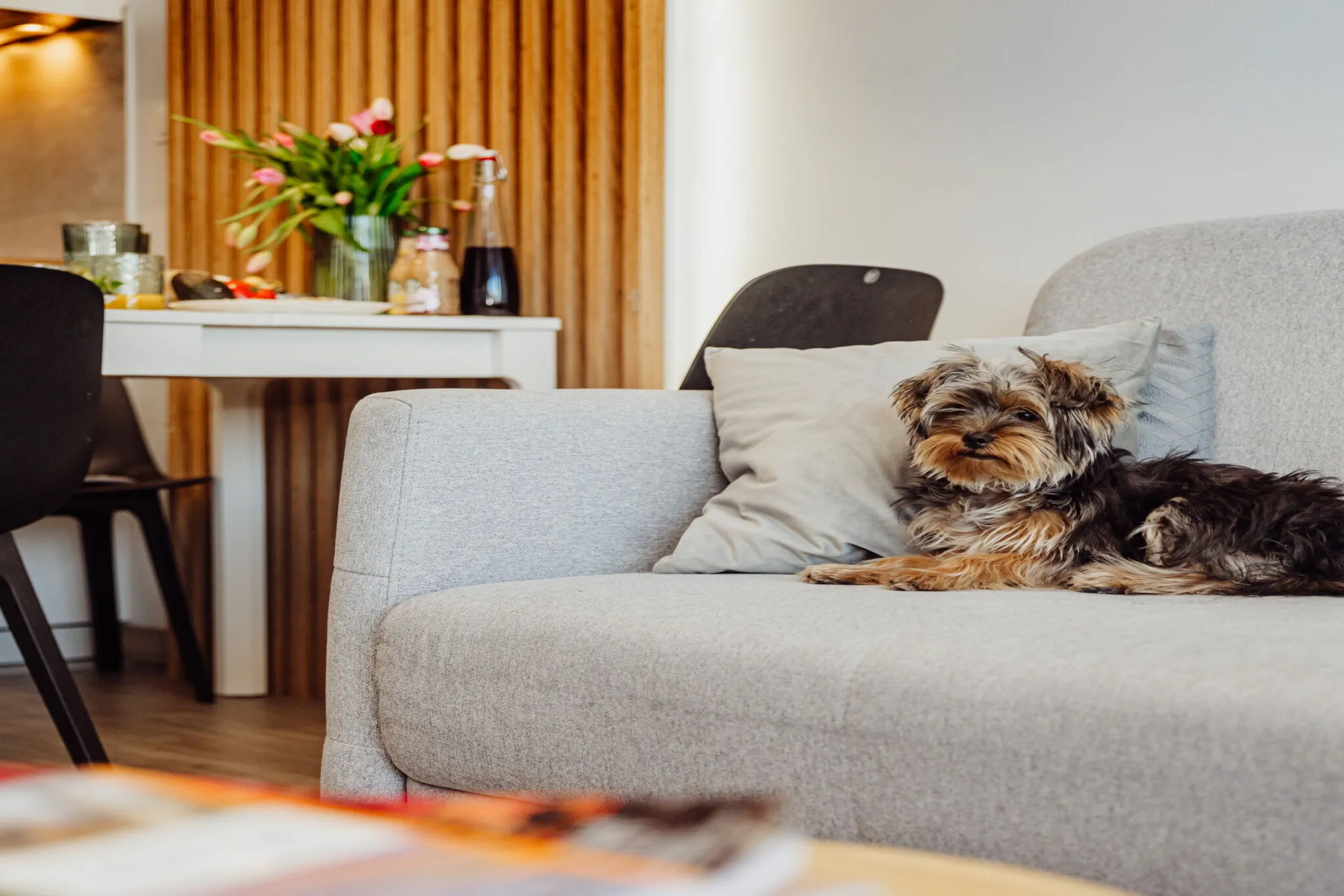 Apartament JP KARPACZ – Karpacz, Polsko