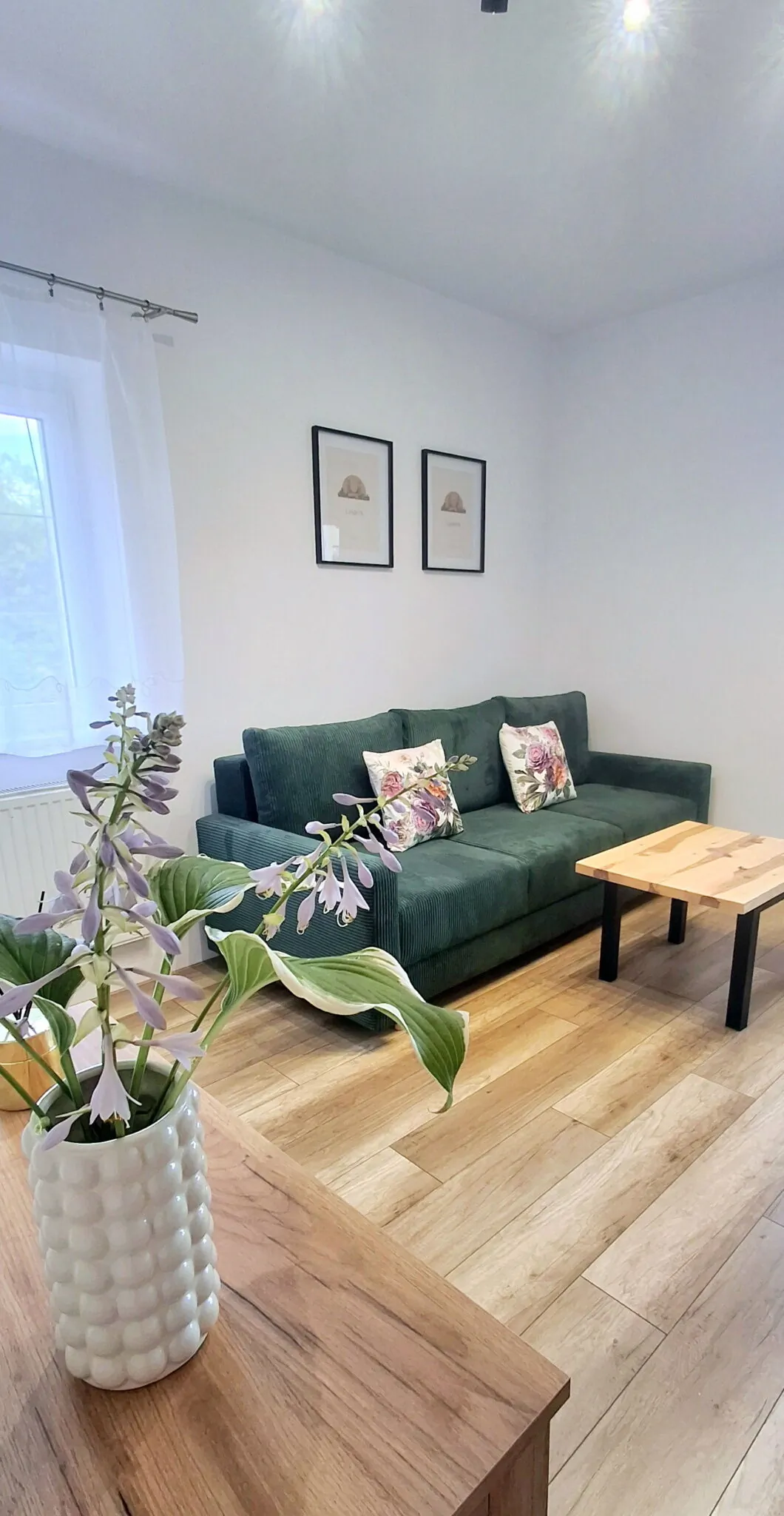 Apartament Dzika Róża Kowary – Kowary, Polonia
