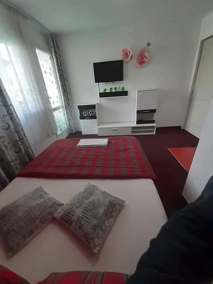 Casa Vetuța Orşova – Orşova, România
