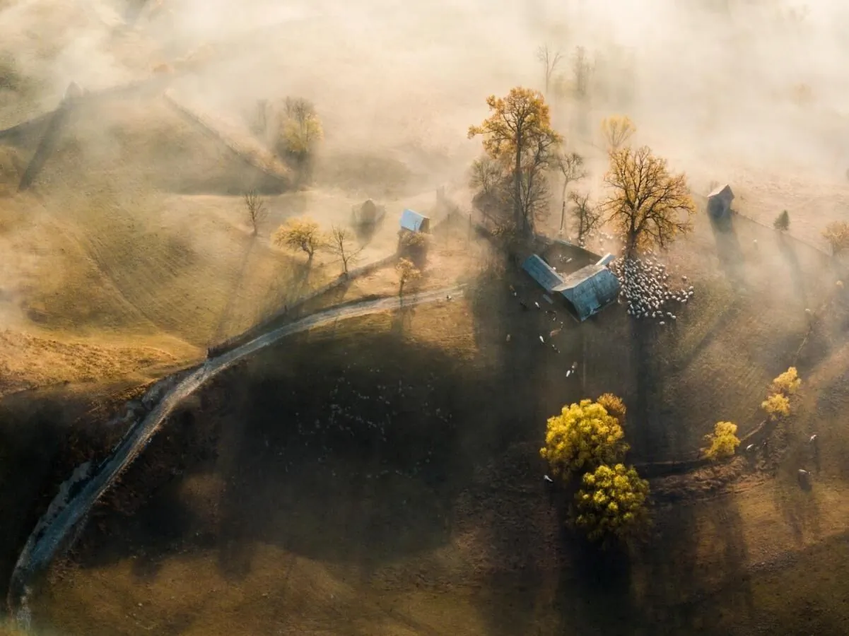 Pensiunea Bucovina Exclusiv Vama – Vama, România