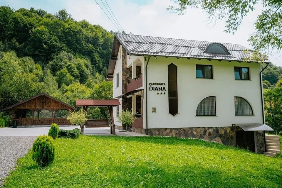 Pensiunea Diana Moisei – Moisei, România