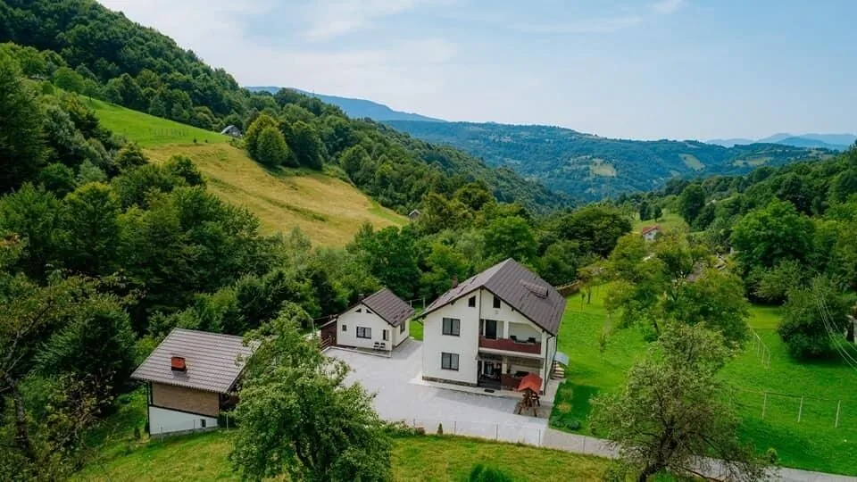 Pensiunea Diana Moisei – Moisei, România
