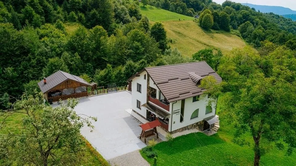 Pensiunea Diana Moisei – Moisei, România