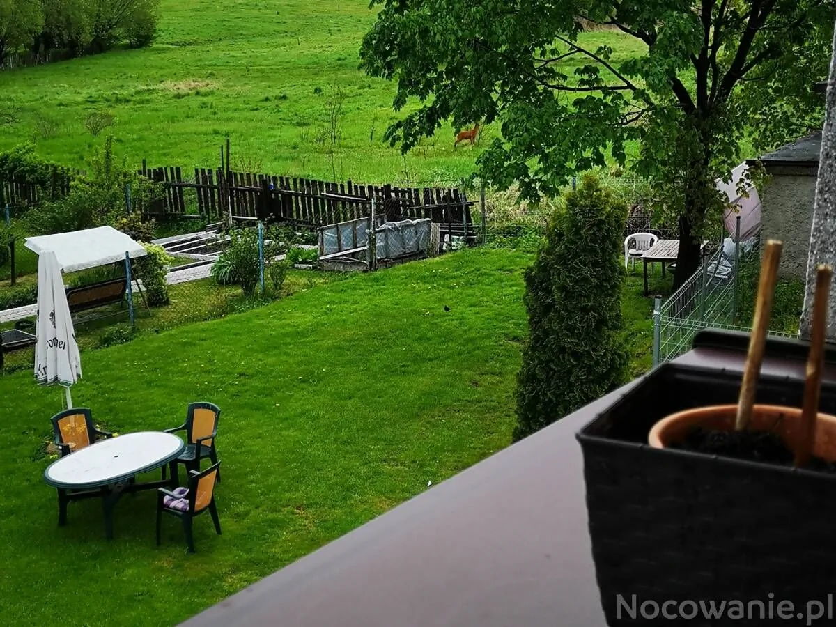 Noclegi u Ali Wałbrzych – Wałbrzych, Polska
