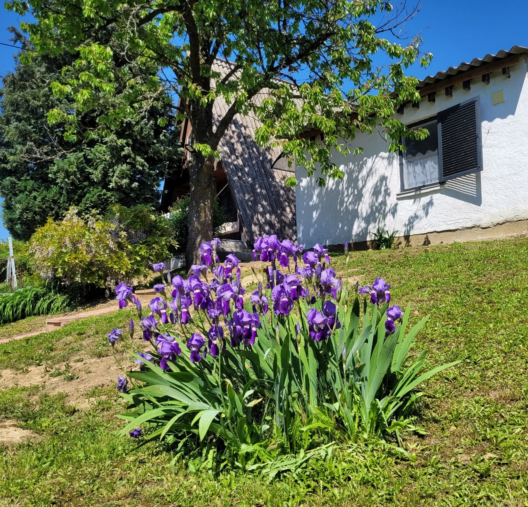 ApróLak Apartman Zalakaros – Zalakaros, Maďarsko