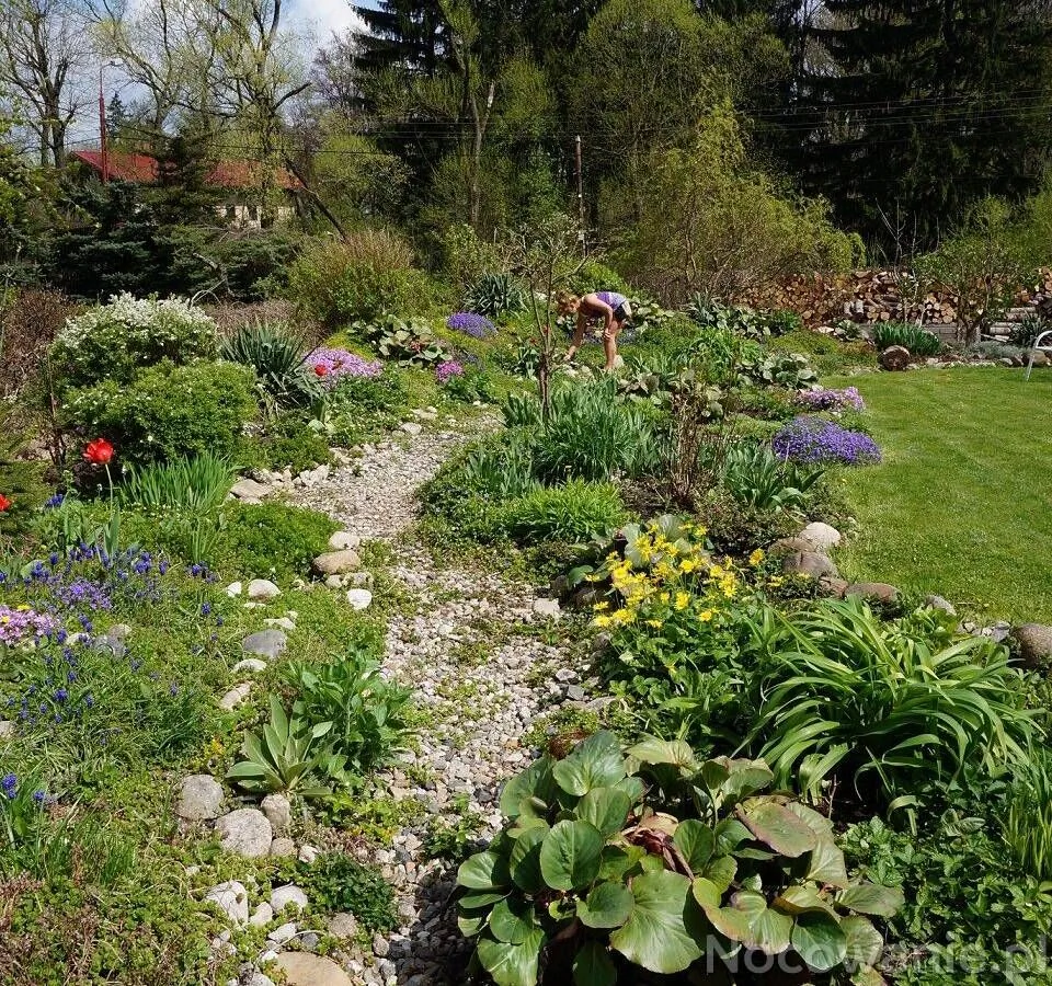 Agroturystyka Rajski Ogród Mysłakowice, Jelenia Góra – Jelenia Góra, Polsko