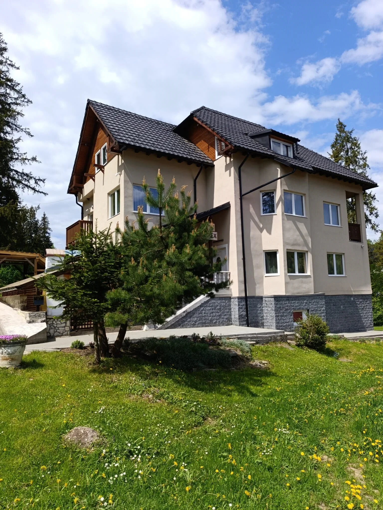 Vila Rex Borsec – Borsec, România