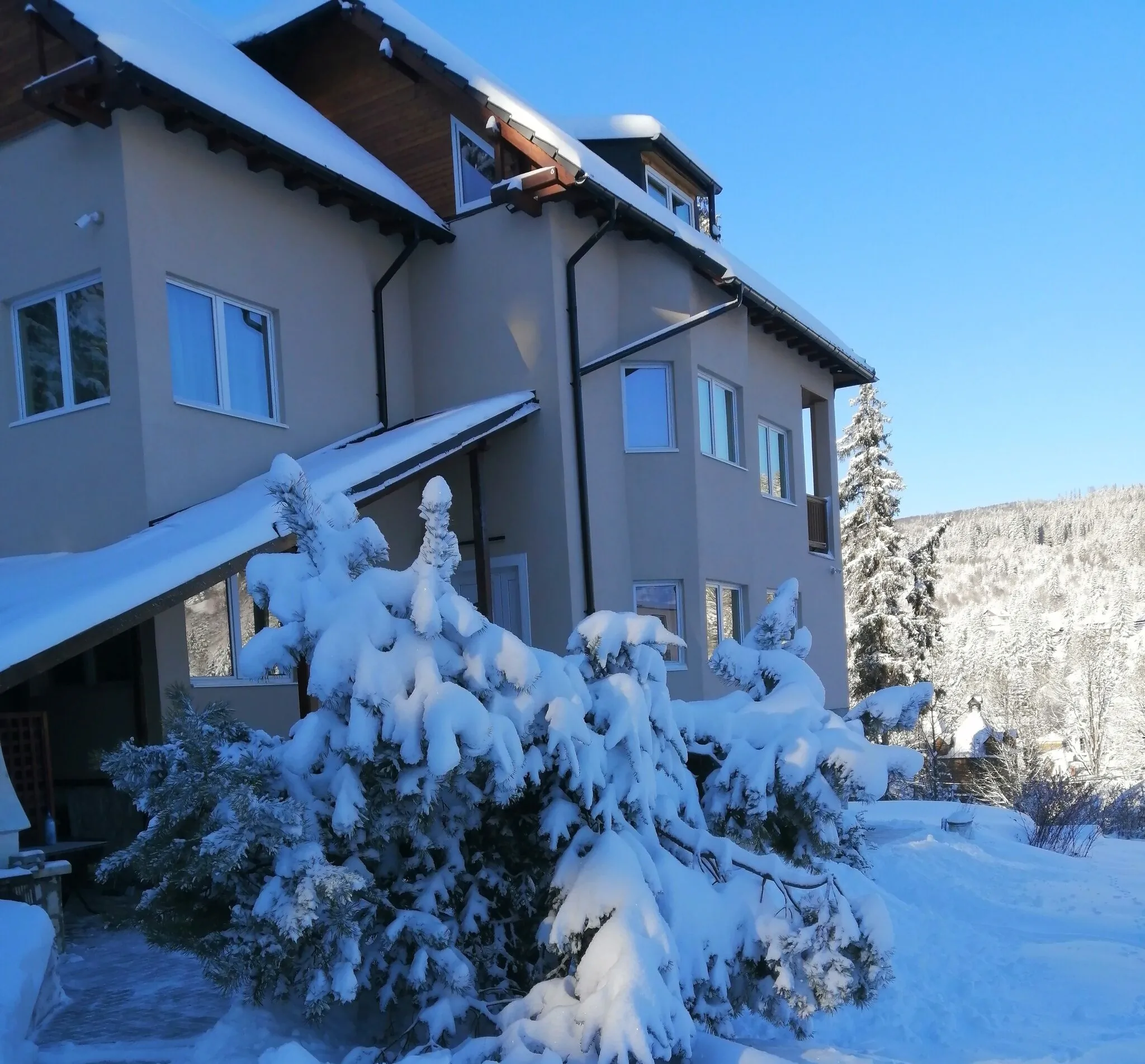 Vila Rex Borsec – Borsec, România