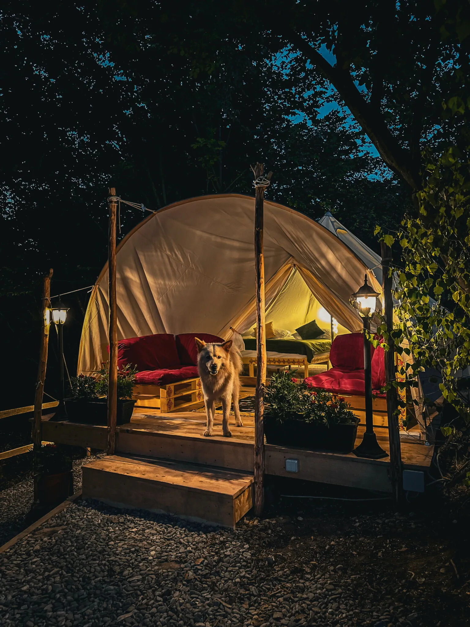 Green Hill Lodge Porumbacu de Sus – Porumbacu de Sus, România