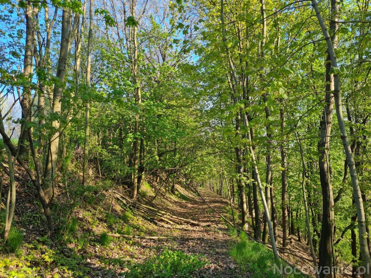 Słoneczne Domki Sudety Kotlina Kłodzka Bystrzyca Kłodzka – Bystrzyca Kłodzka, Polsko
