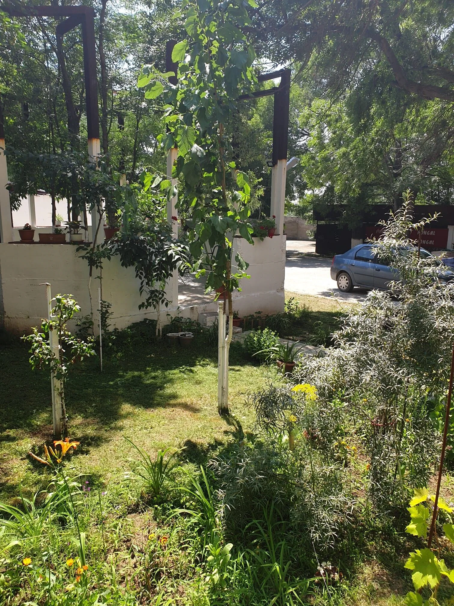 Pensiunea Pongal Eforie Sud – Eforie Sud, Rumunsko