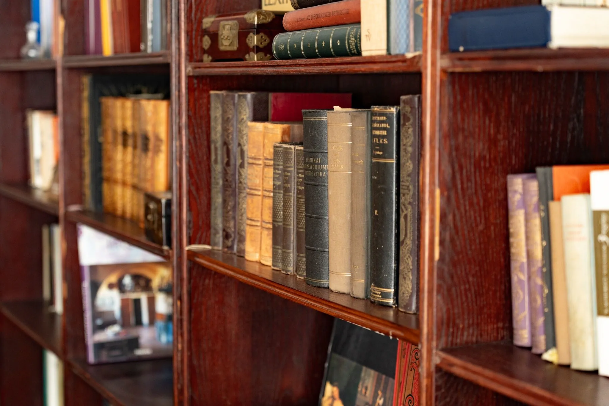 Romantic Villa Pápa – Pápa, Węgry