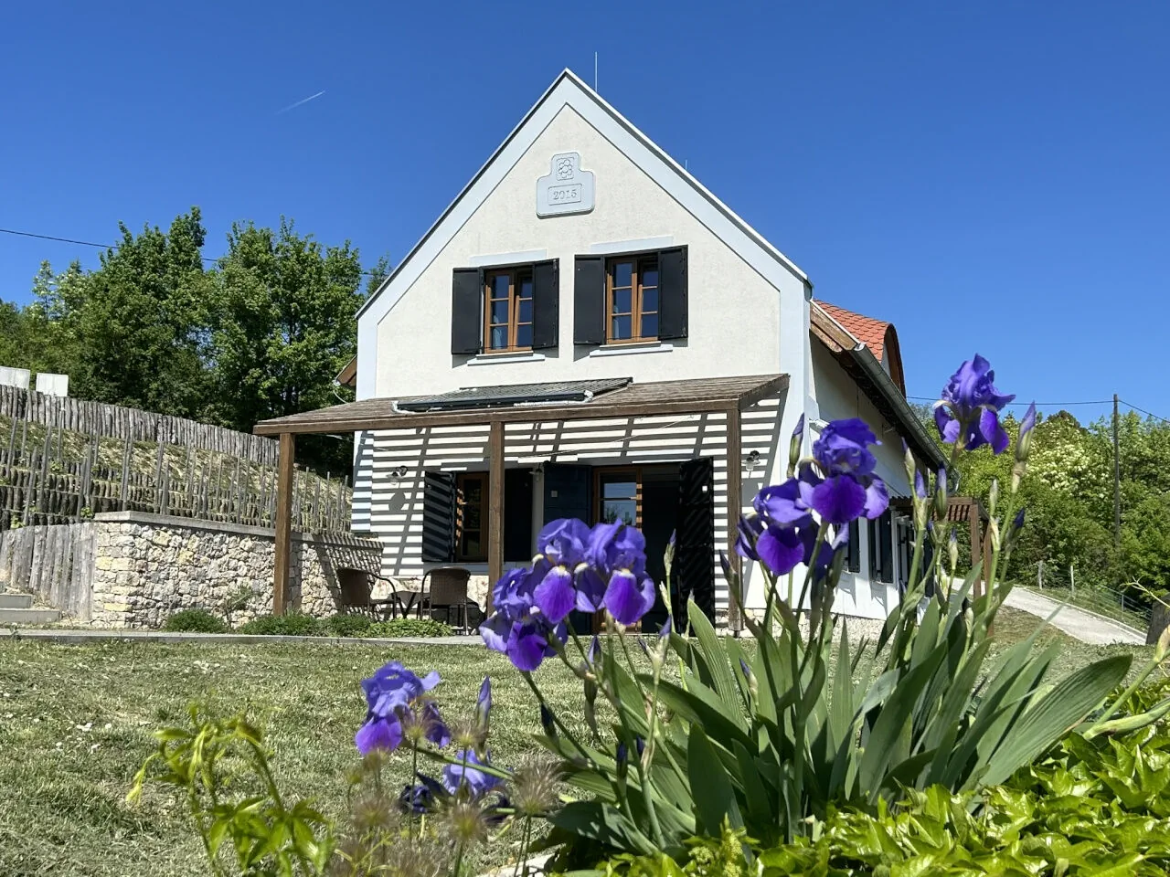 Borbora Borház Villa Vászoly – Vászoly, Ungaria