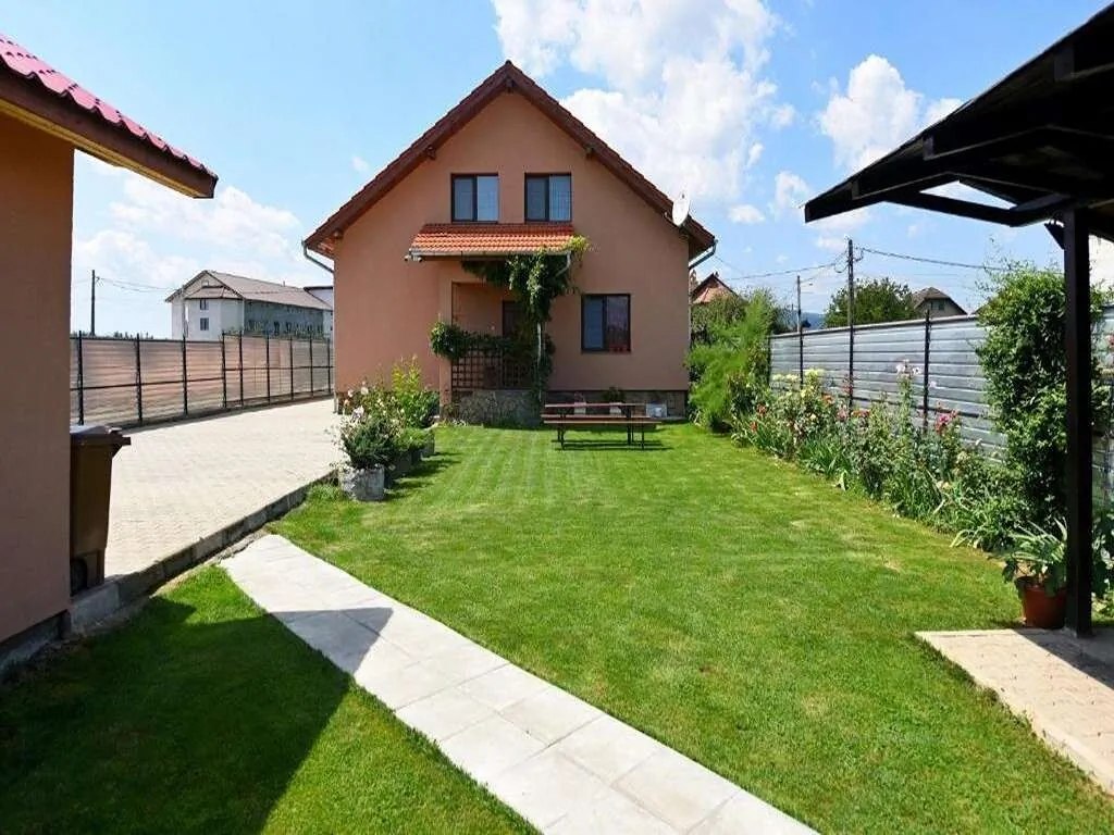 Casa Daria Haţeg - foto 1