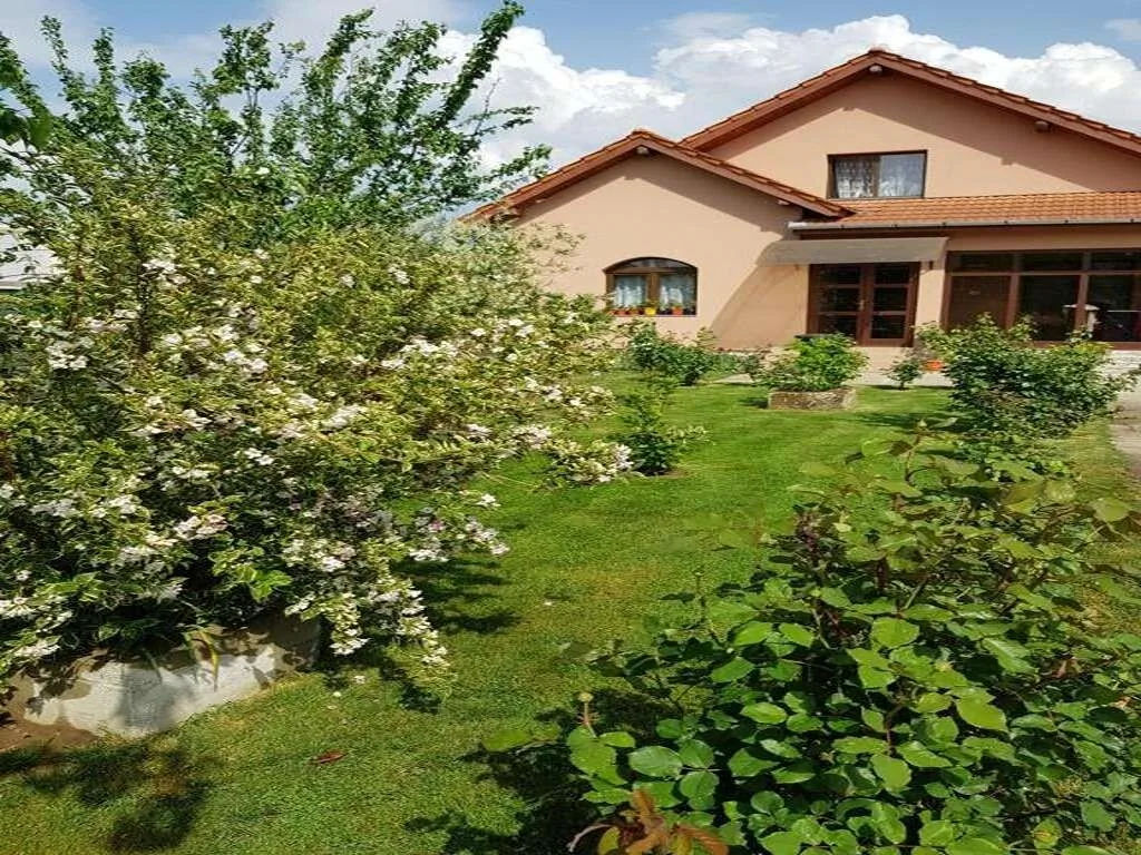 Casa Daria Haţeg - foto 3