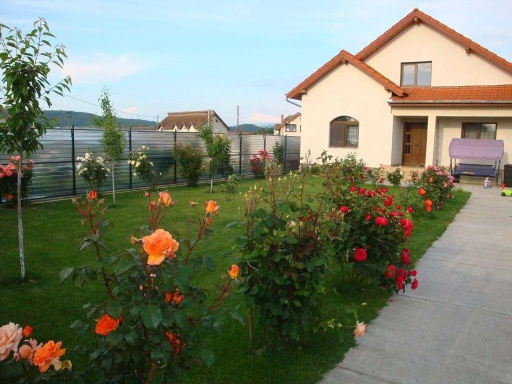 Casa Daria Haţeg - foto 4