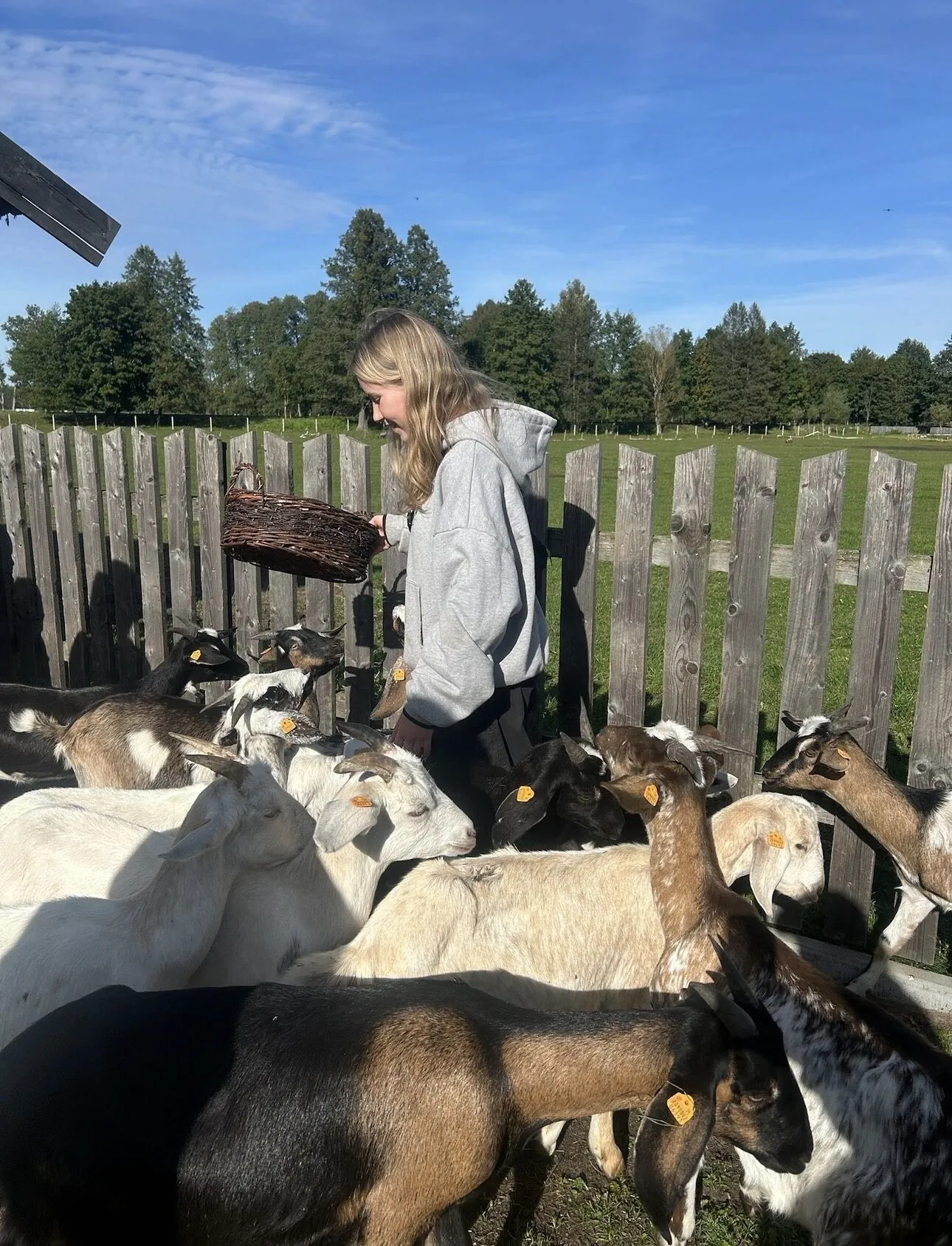 Agroturystyka Farma Puchałowo - foto 5