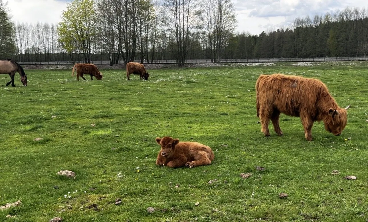 Agroturystyka Farma Puchałowo - foto 7