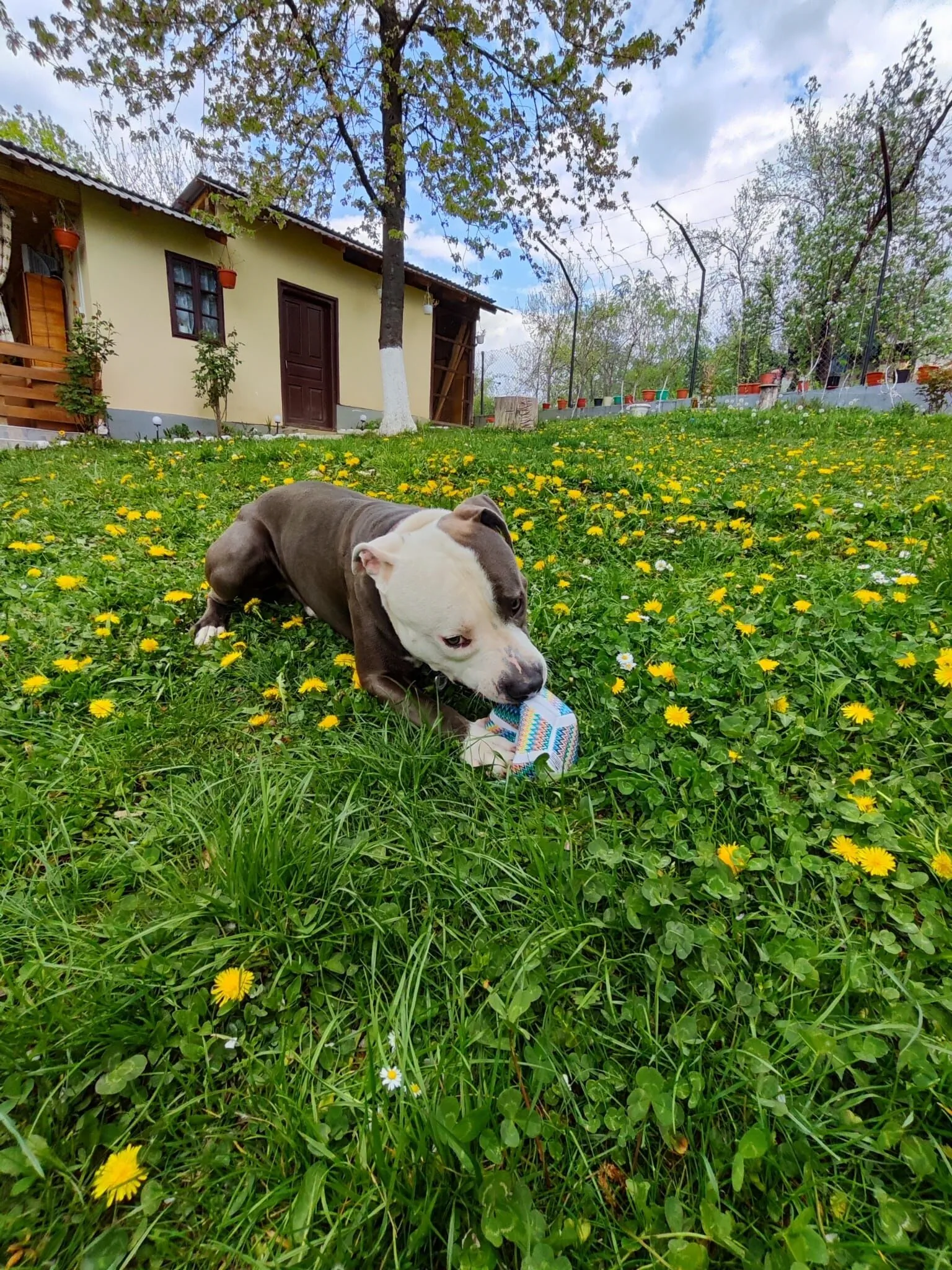 Căsuța Cristalin Horezu – Horezu, România