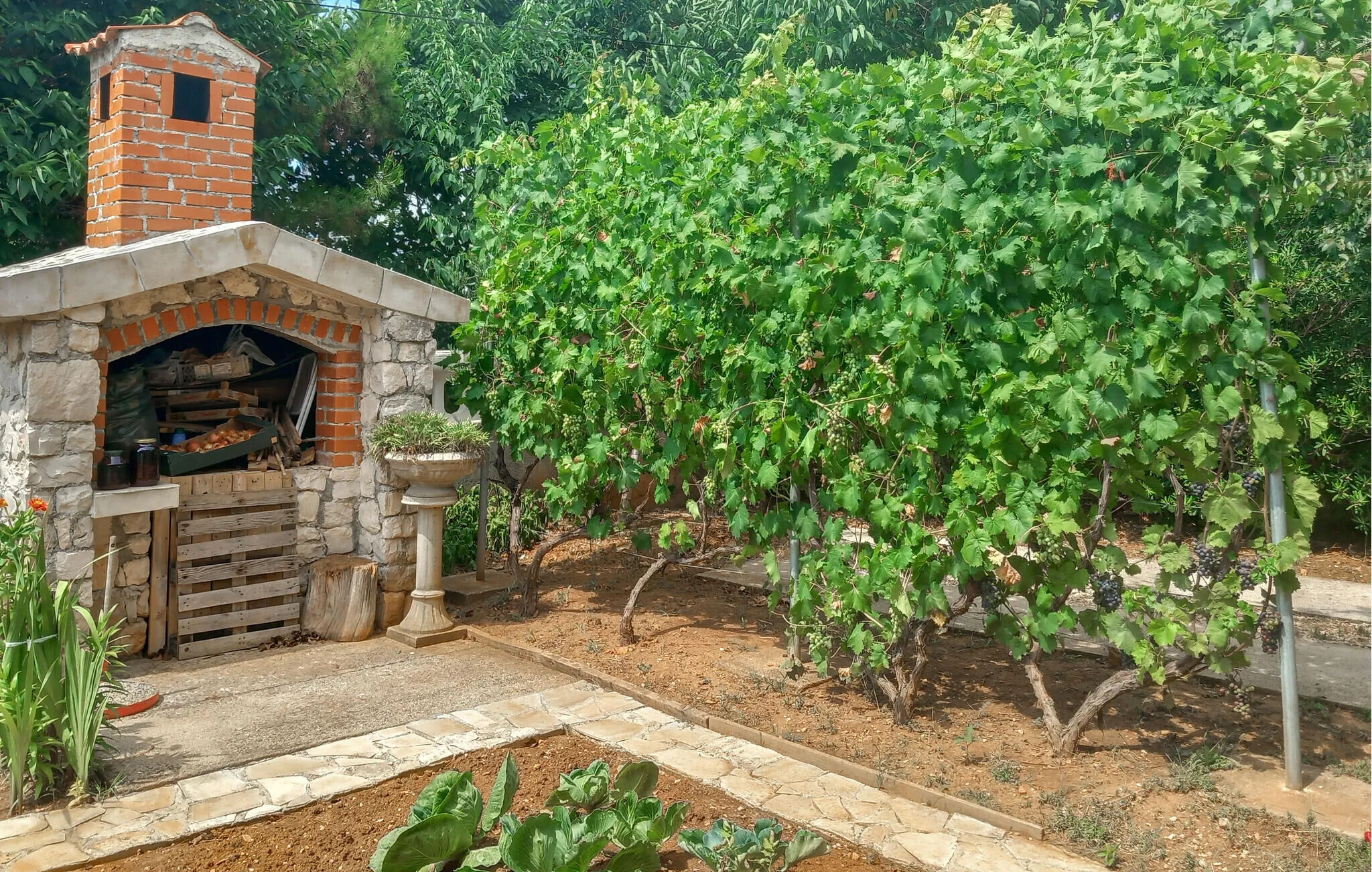 Apartman Nin - CDI852 – Nin, Croația
