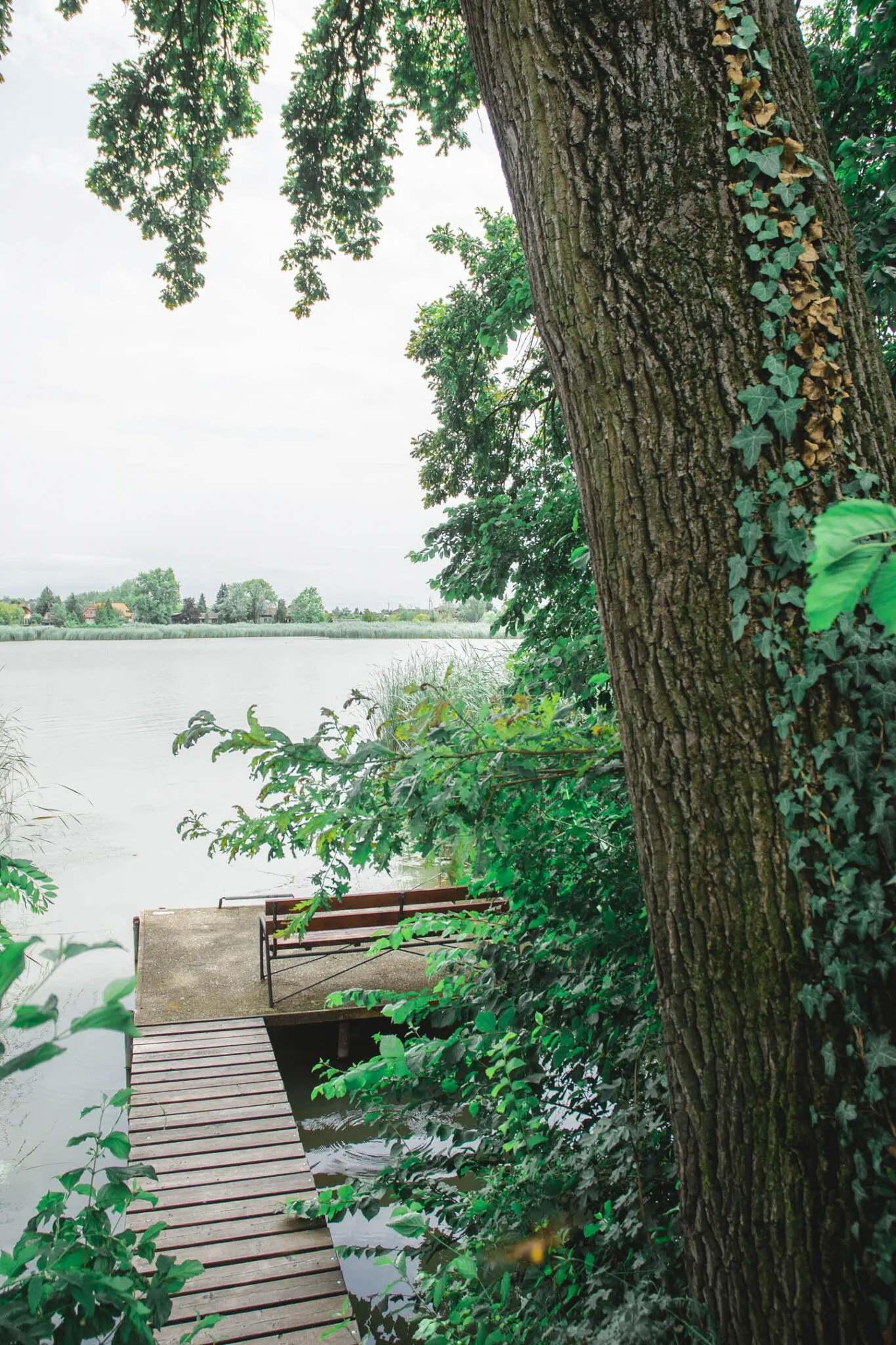 Dunaparti Vendégház Szigethalom – Szigethalom, Ungaria