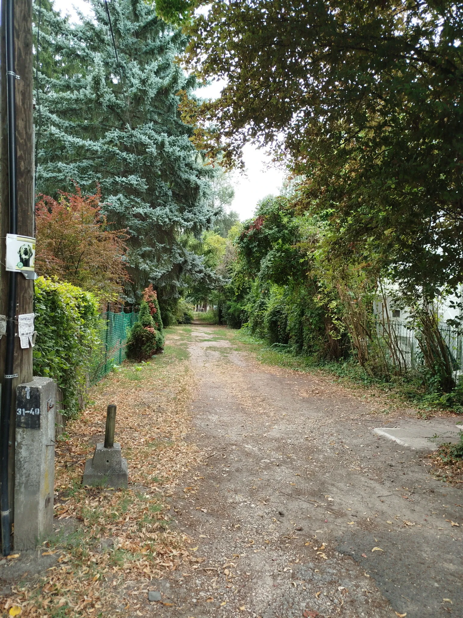 Sellő Vendégház Szentendre – Szentendre, Ungaria