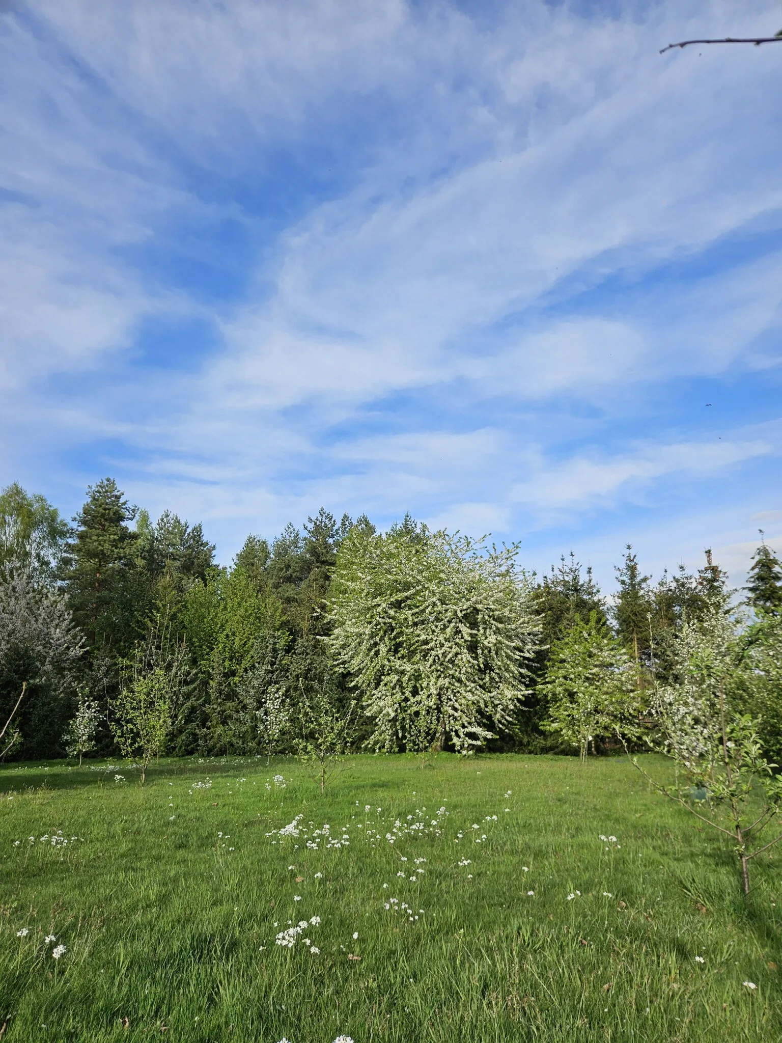 Leśniczówka w Choińcu, Czaple – Czaple, Polska