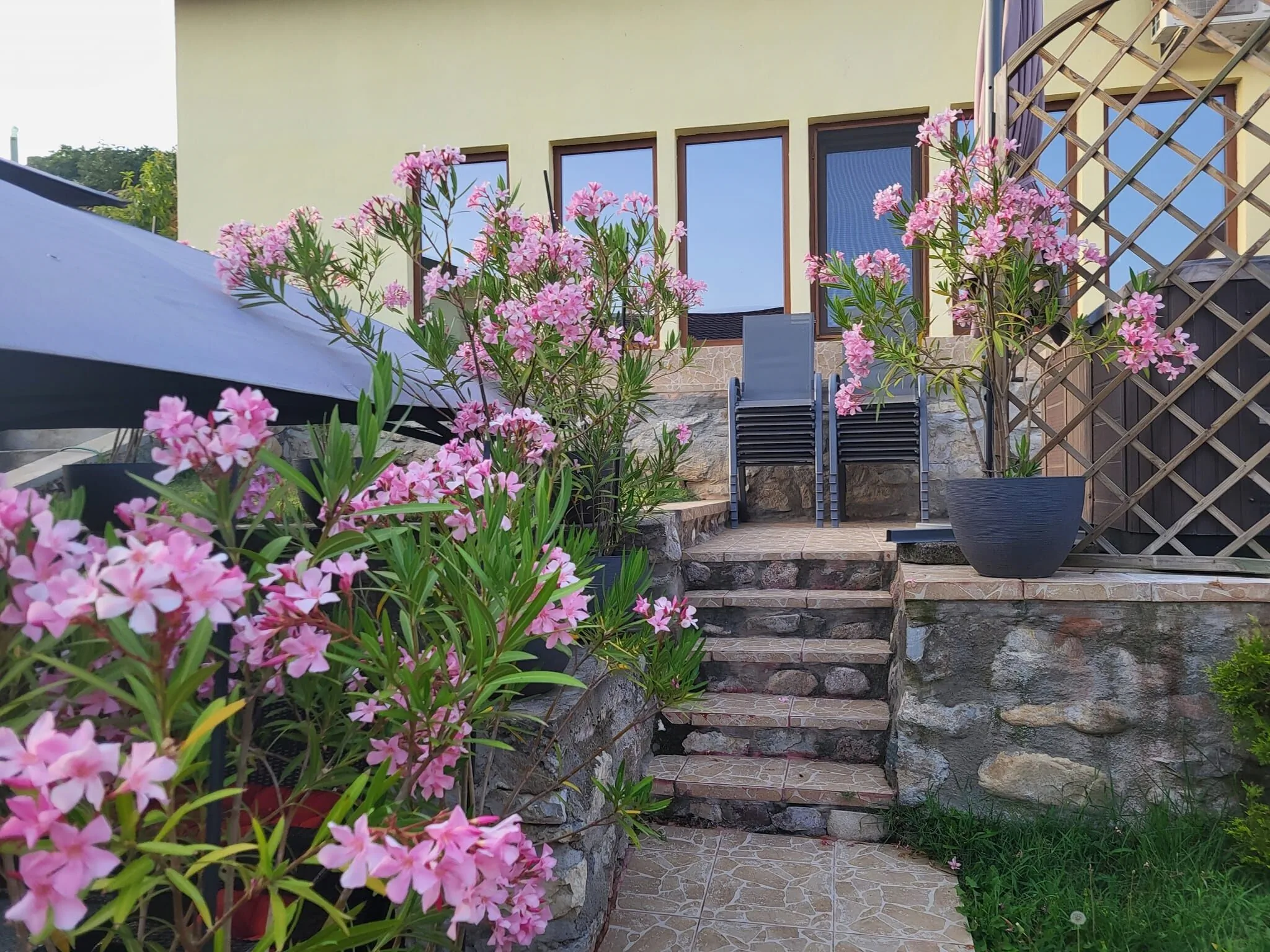 Casa cu Smochine Sviniţa – Sviniţa, România