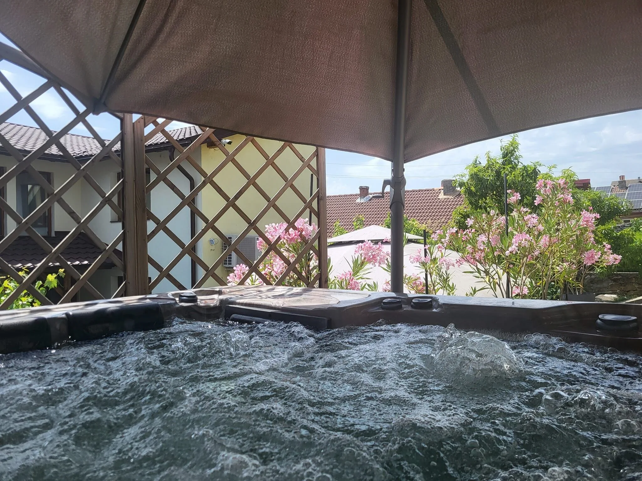 Casa cu Smochine Sviniţa – Sviniţa, România