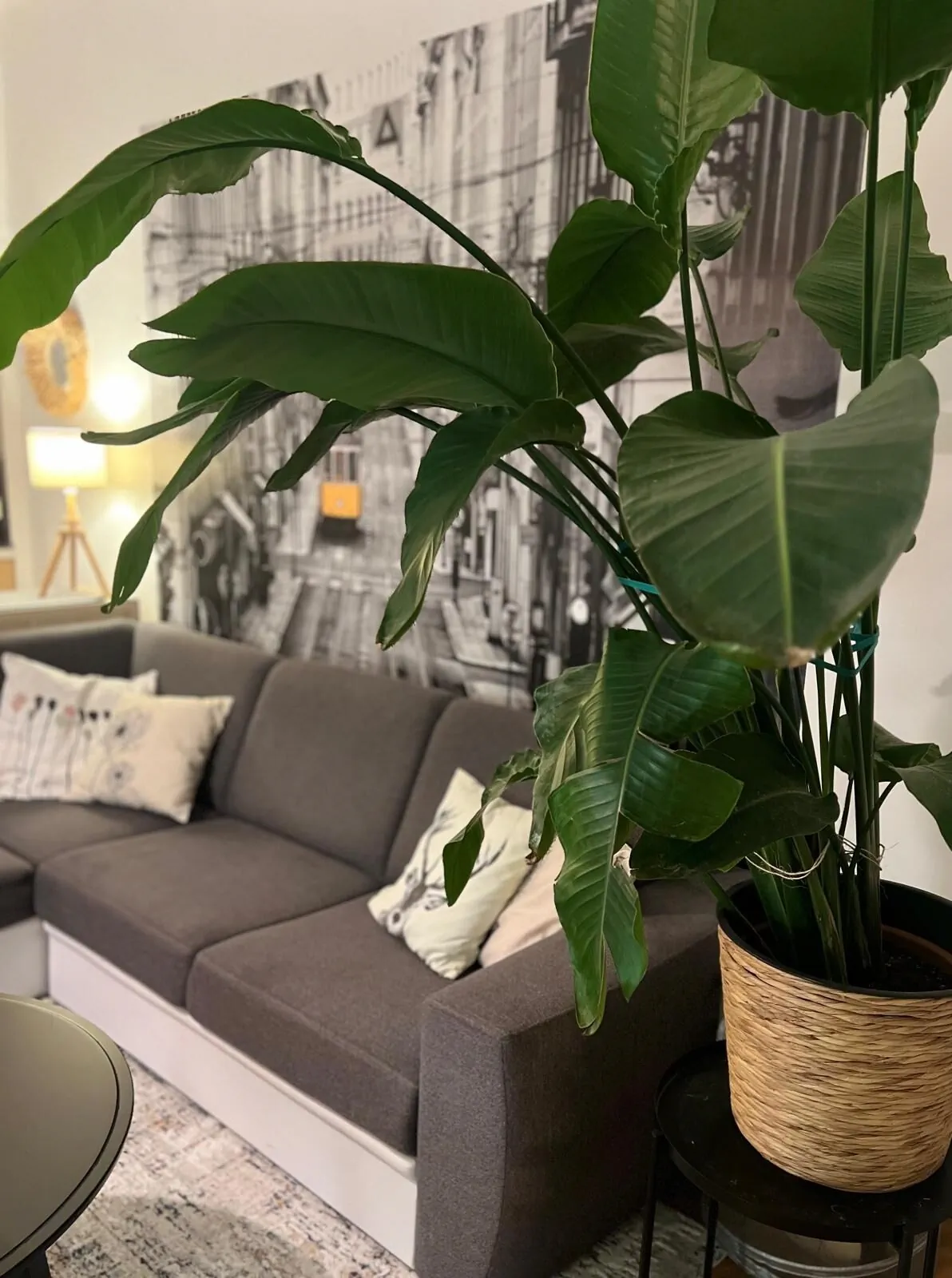 West Budapest Apartman Budapest – Budapesta, Ungaria