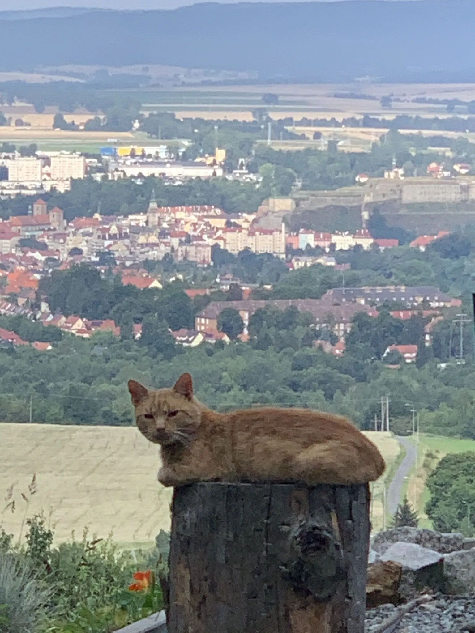 Domek na Kukulce Jaszkówka – Jaszkówka, Polska