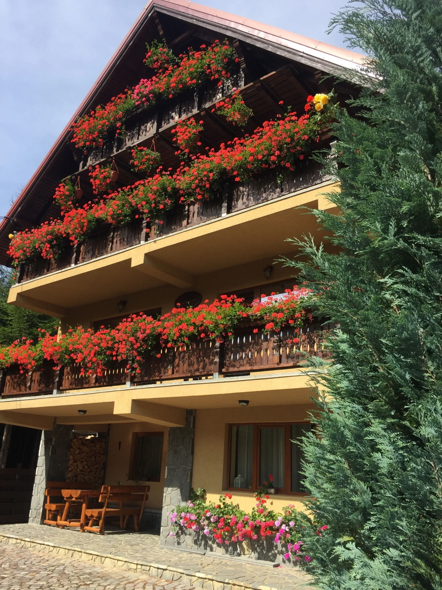 Casa Bogdan Azuga – Azuga, România