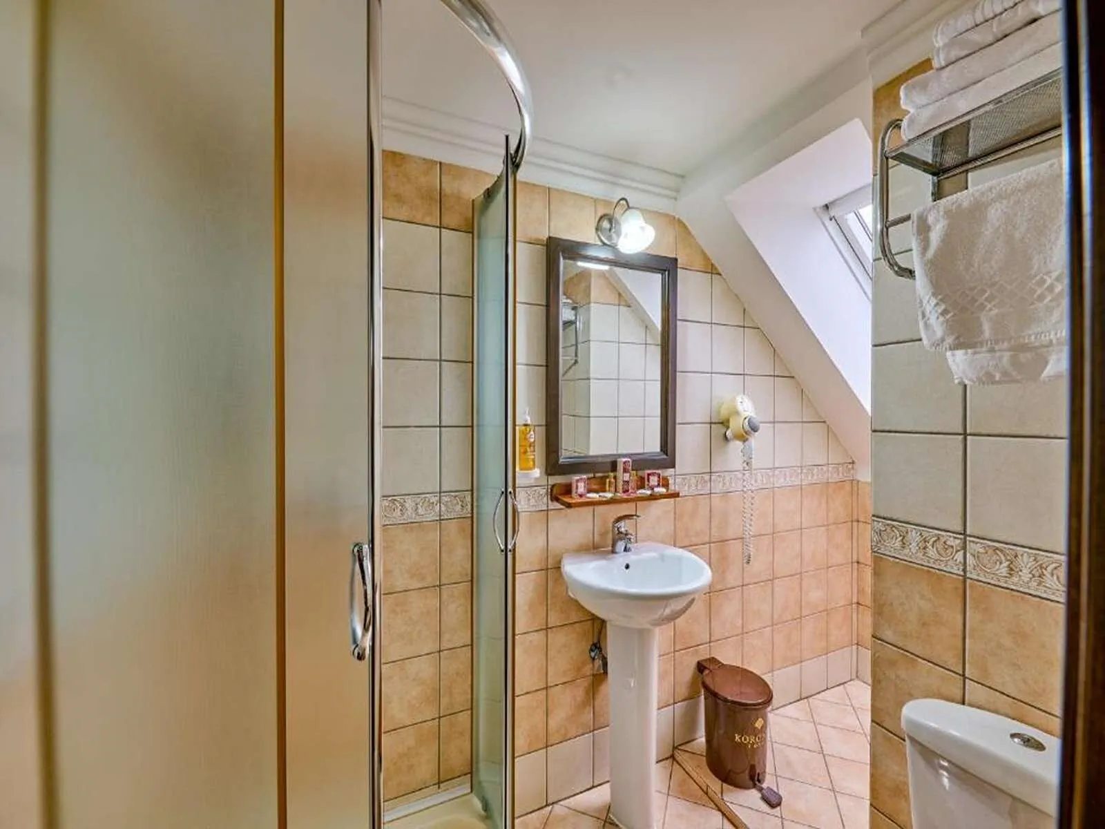 Hotel Classico Timișoara - foto 7