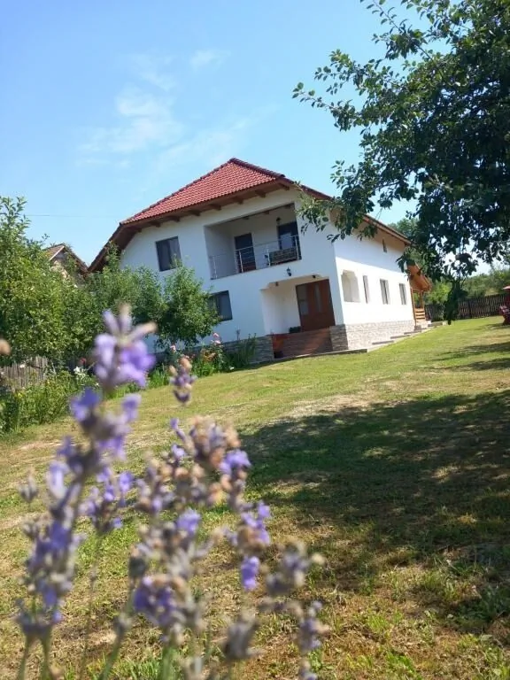 Casa Lavinia Crasna – Crasna, România
