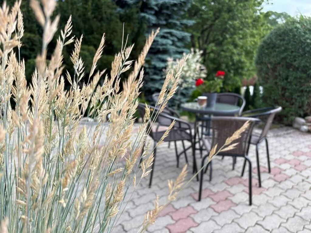 Apartament Carpe Diem Duszniki-Zdrój – Duszniki-Zdrój, Polsko