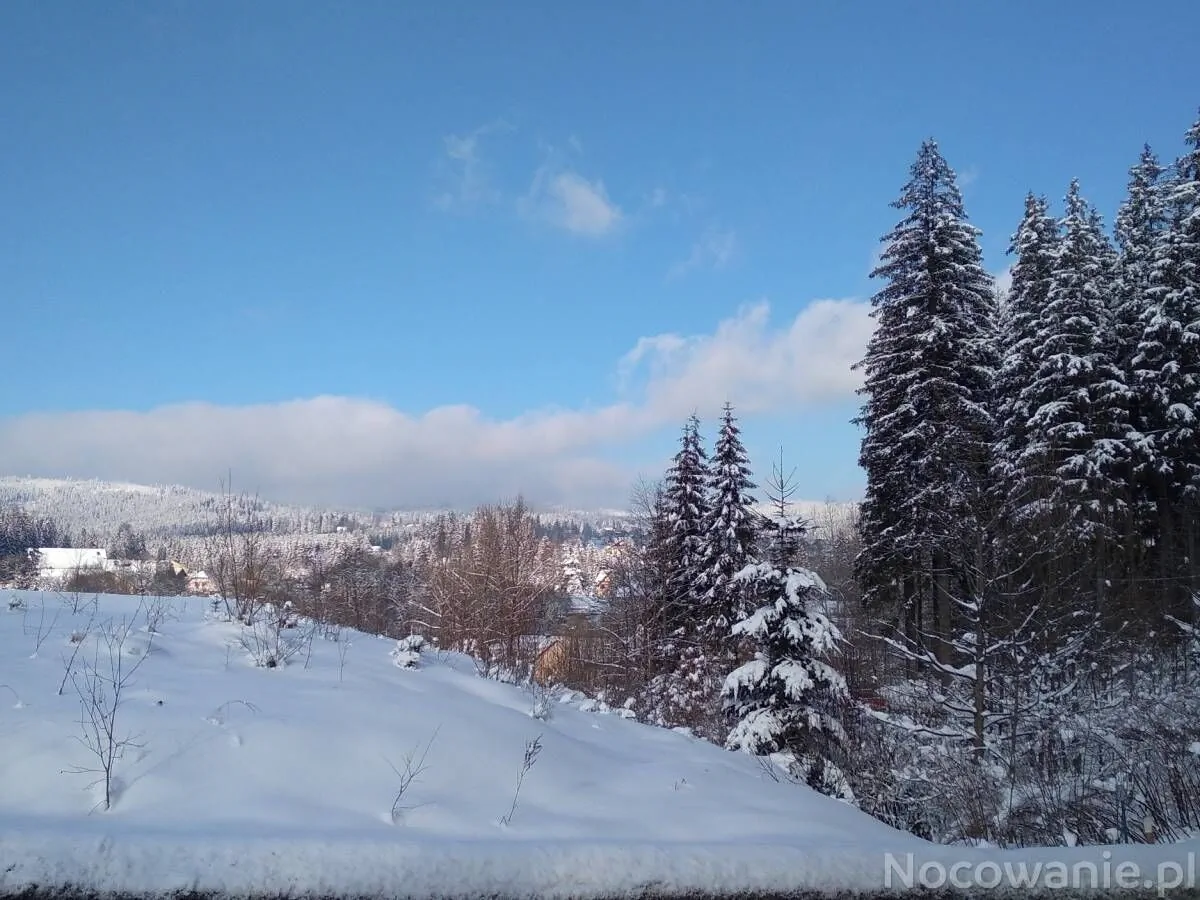 Apartamenty i domki Neve Istebna – Istebna, Polonia