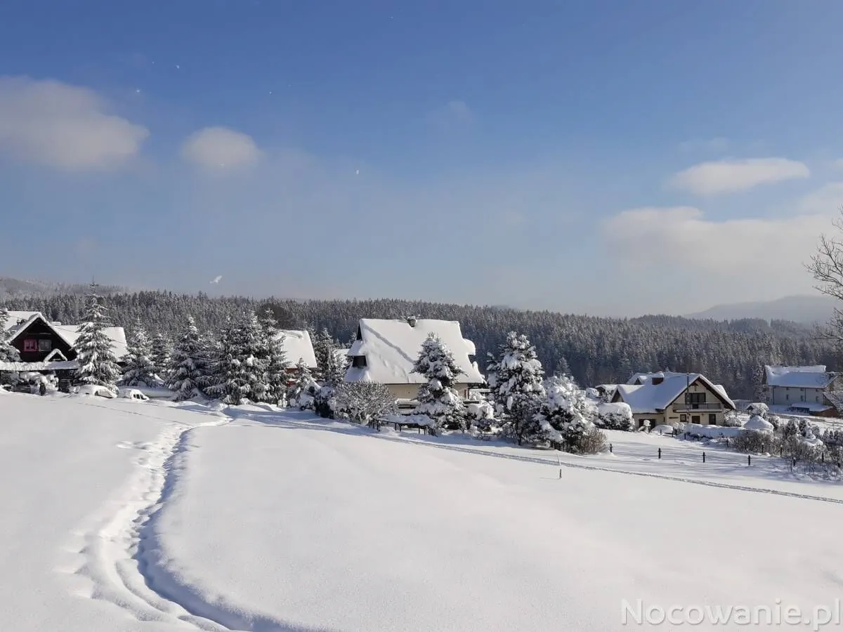 Apartamenty i domki Neve Istebna – Istebna, Polonia