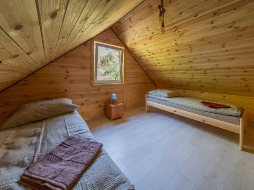 Zagajnik Białowieża – Białowieża, Polska