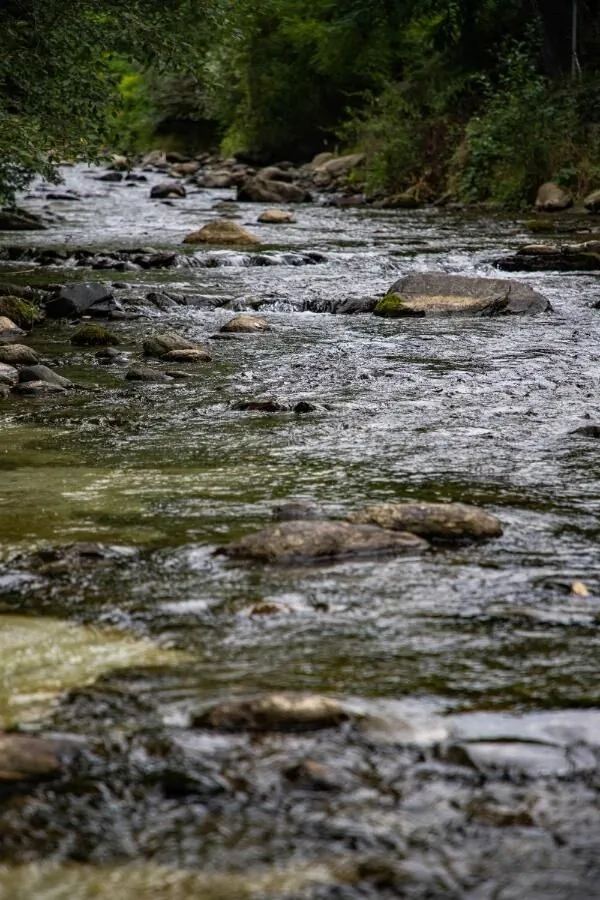 ADORA River Retreat Avrig – Avrig, România