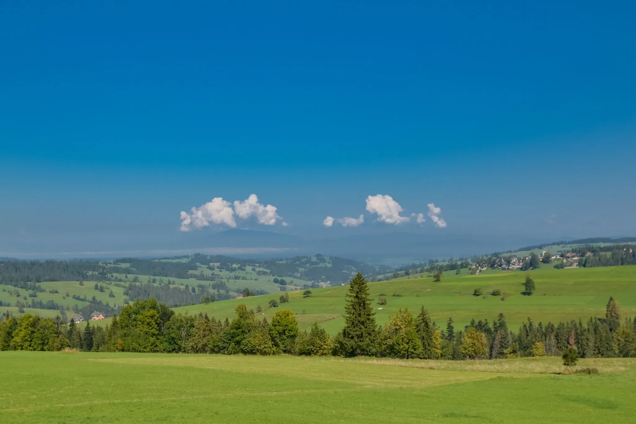 Willa Krywań Ząb - foto 3