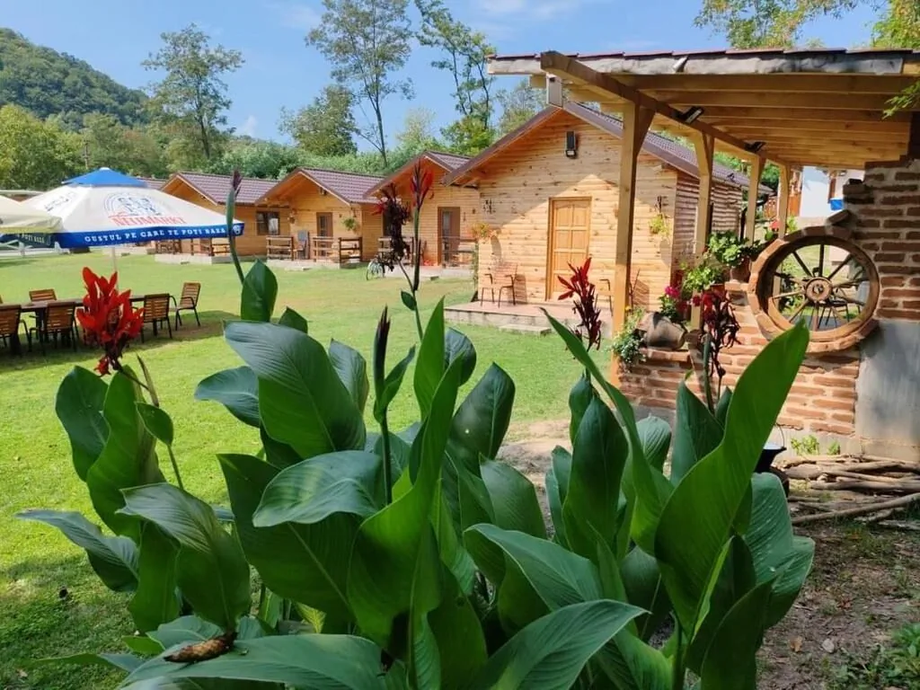 Camping Thobias Boşorod – Boşorod, România