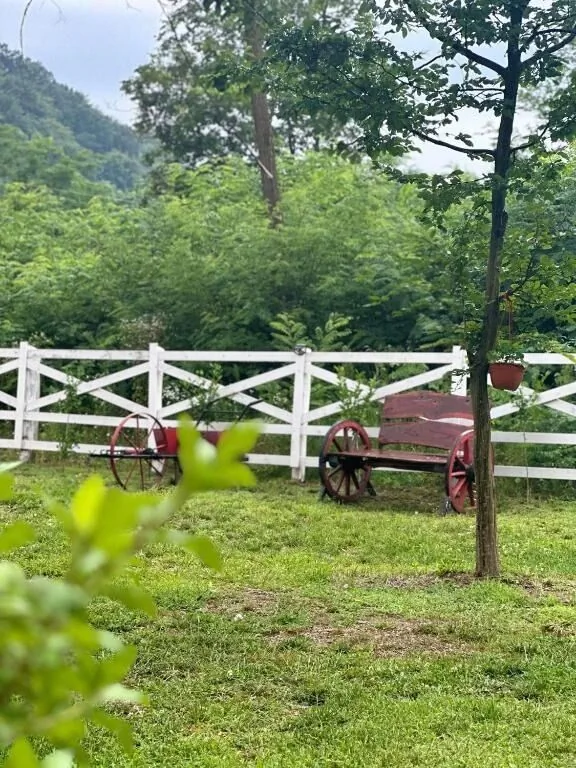 Camping Thobias Boşorod – Boşorod, România