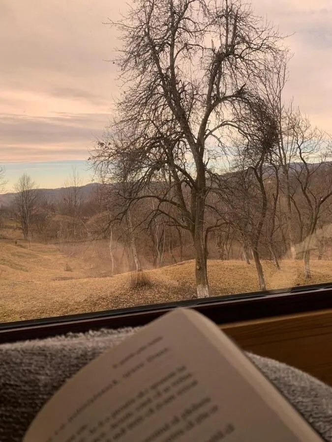 Căsuțele din Poienița Chalet Comarnic – Comarnic, România