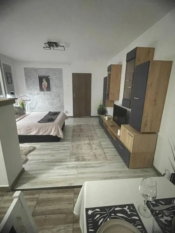 Central Studio LCS Hunedoara – Hunedoara, România