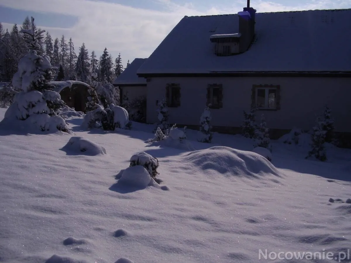 Ściborówka - foto 1